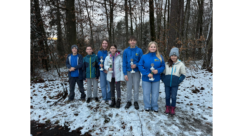 Bild 7 von 12